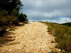 DSCN8742 DSCN8742