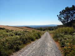 DSCN9528
