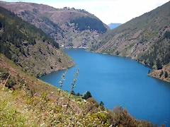 DSCN1460 DSCN1460