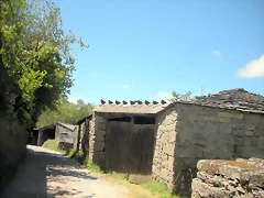 DSCN5394