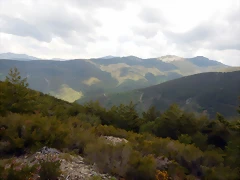 DSCN1232 DSCN1232