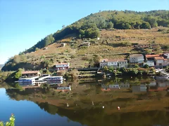 DSCN4525 DSCN4525