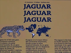 Zoo Barcelona 23-11-11 i 25-11-11 596