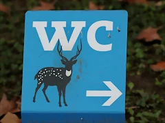 Zoo Barcelona 23-11-11 i 25-11-11 621