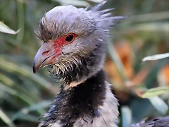 Zoo Barcelona 23-11-11 i 25-11-11 636