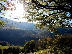 DSCN8967 DSCN8967