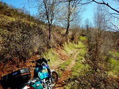 DSCN9102.JPEG DSCN9102.JPEG