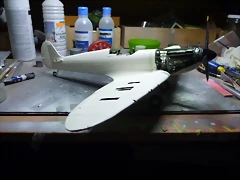 P1060528 P1060528