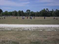 SDC14743