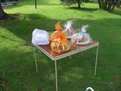 SDC12135 SDC12135