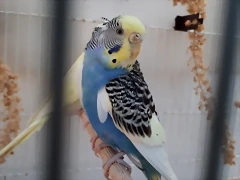 20191230_140931