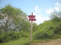 DSCN3895 DSCN3895