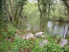DSCN4173 DSCN4173