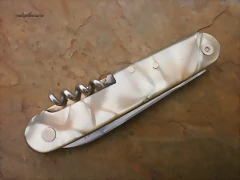 PA280666