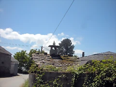DSCN5397