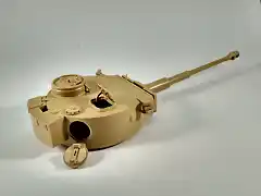 Tiger17