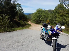 DSCN1154 DSCN1154