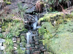 DSCN2428 DSCN2428