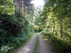 DSCN9221 DSCN9221