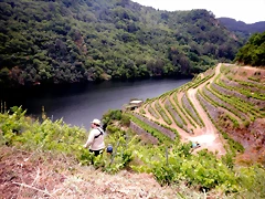 DSCN3466 DSCN3466