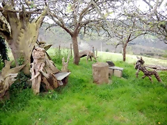 DSCN4322 DSCN4322