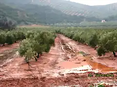 02, estacas en la vega 1, marca