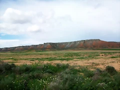 100_8263 100_8263