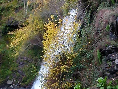 DSCN6143 DSCN6143