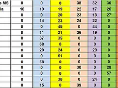 RESULTATS CAMP DESPRES SCM DEL 47 AL 60