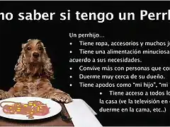 Perro