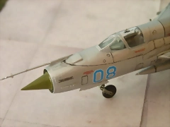 P1110290 P1110290