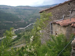 CIMG0137