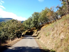 DSCN9116 DSCN9116