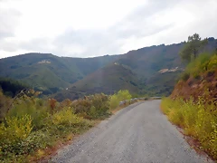 DSCN9877 DSCN9877