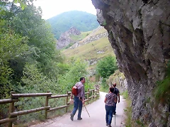 DSCN3739 DSCN3739