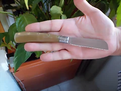 SAM_1494 SAM_1494