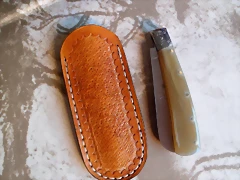 SAM_1481 SAM_1481