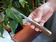 SAM_1492 SAM_1492