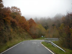 DSCN0958 DSCN0958