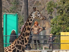 Zoo de Barcelona 03-03-12 378 Zoo de Barcelona 03-03-12 378