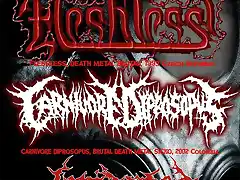 fleshless