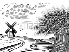 11623142-los-campos-de-trigo-del-paisaje-en-blanco-y-negro