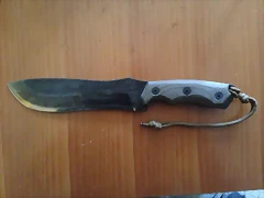 image (16)