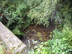 DSCN8386 DSCN8386