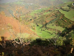 DSCN0552 DSCN0552