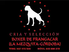 Boxer de Frangacar