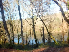 DSCN2505 DSCN2505