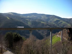 DSCN2907