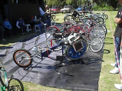 SDC13617 SDC13617