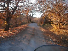 DSCN7014